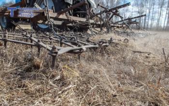 Посевные площади в Тюменской области сохранят на уровне 2025 года