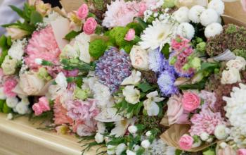 Тюменская область закупила более 50 тысяч цветов из Армении