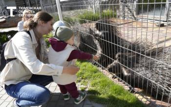 Тюменцы могут отнести урожай животным в зоопарке