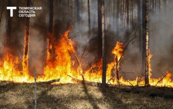 В Тюменской области зафиксировано наименьшее в УрФО число пожаров за сезон