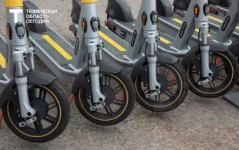 Тюменская область вошла в десятку регионов с самой высокой аварийностью с электросамокатами
