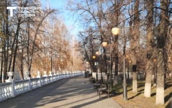В Тюмени 27 октября ожидается прохладная погода без осадков и с туманом