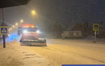 МЧС: на юге Тюменской области 29 декабря ожидаются сложные погодные условия