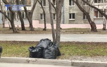 В Ишиме через неделю стартуют субботники