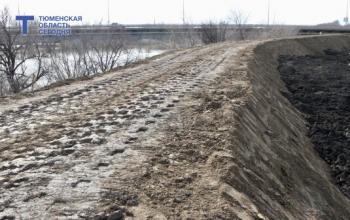 В Ишиме начался подъем реки: за сутки вода прибавила 12 см