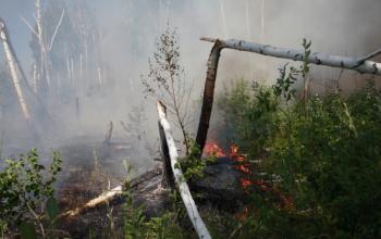 Фото Валерия Бычкова