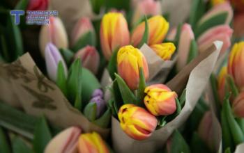 Бойцы СВО поздравили тюменок с наступающим 8 Марта