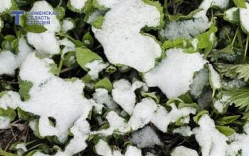 В Тюмени 12 апреля прогонозируют +11 градусов и без осадков