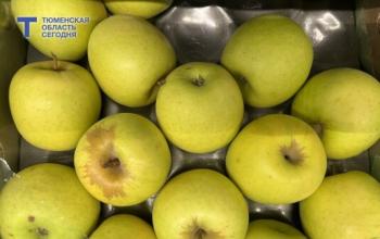 Подсчитано, сколько за месяц тюменцы тратят на продукты, напитки и табак