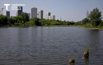 Тура отступила на 7 см за стуки: уровень воды на 23 августа в Тюмени составляет 777 см