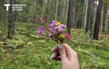 В Тюмени ожидается до +26 градусов 25 августа, солнечно