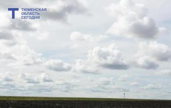 В селе Плешково Ишимского округа бесплатно проведут кадастровые работы