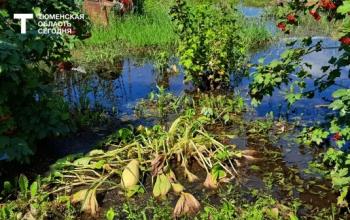 Тюменский агроном объяснила как поливать урожай и крутить консервы, если вода пахнет