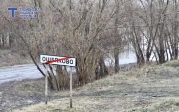 Уровень реки Ишим в Тюменской области не превысил критическую отметку