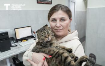 Ветеринары рассказали, как облегчить животным жизнь в жару