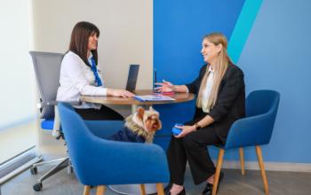 Аналитики назвали главные причины оформления кредитов сегодня