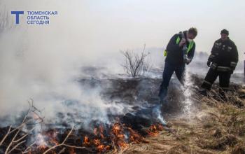 Лесной пожар на 5,6 га потушили в Тюменской области