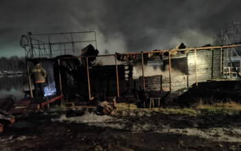Фото из телеграм-канала противопожарной службы Тюменской области