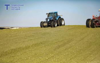 Прокуратура Тюменской области остановила незаконную попытку купить более 260 га сельхозземель