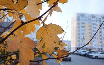 Фото Ольги Боровиковой