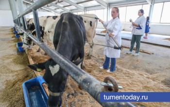 В сфере АПК Тюменской области открыто около 900 вакансий