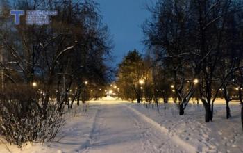 В Тюмени на месте пустыря появится парк с холмами и дождевыми садами