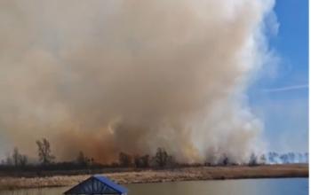 В Ялуторовске потушили ландшафтый пожар у озера