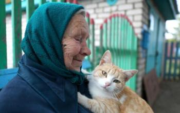 С октября отдельным категориям россиян увеличат пенсию