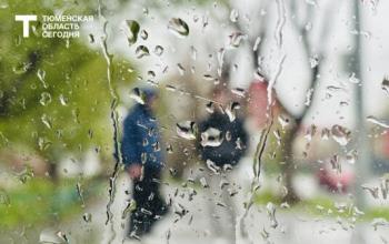 В Тюмени 24 мая до 20°C, возможен дождь