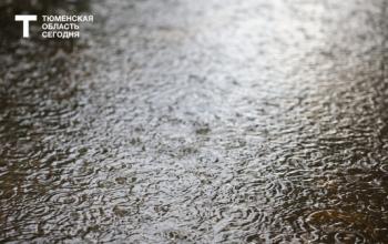 В последний день лета в Тюмени будет по-осеннему дождливо