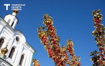 Как снять стресс за 5 минут с помощью дыхания