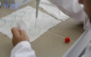 В Тюмени птицефабрику оштрафовали за субпродукты с антибиотиками