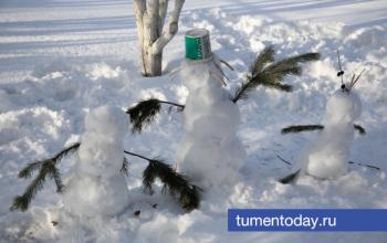 11 февраля в Тюмени ожидается похолодание до -20 градусов