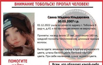 Фото из группы Поиск пропавших людей Тобольска Феникс в соцсети Вконтакте