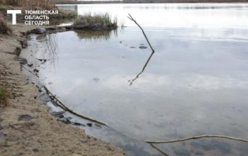 Ситуация с паводком в Тюменской области остается спокойной