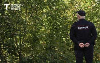 Две косули погибли под колесами автомобилей за неделю в Тюменской области