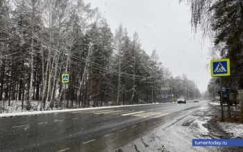 В Тюмени 7 января прогнозируются -13°С и небольшой снег