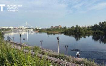 Пик летнего паводка на Туре в Тюмени ожидается на выходных