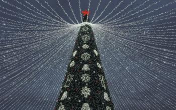 Главную елку в Тюмени откроют 27 декабря