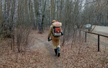 В тюменских лесах началась акарицидная обработка: план – 246,6 гектара