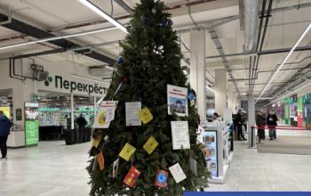 От школьного сарафана до японских пробойников: какие мечты висят на тюменской «Елке желаний»