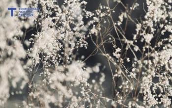 19 марта в Тюмени будет облачно, +6 градусов