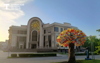«Дерево счастья» с площади Борцов Революции переехало к зданию ЗАГСа в Тюмени