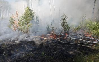 Фото Валерия Бычкова