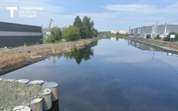 Водопроводная вода в Тюмени и Тюменском округе соответствуют нормам безопасности