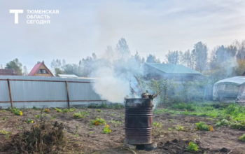 Завершающие садовые и огородные работы в октябре – что важно сделать