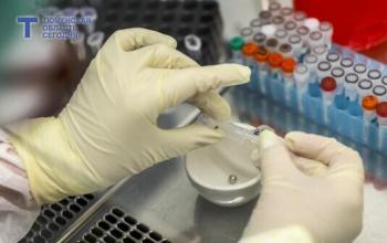 В Тюменской области готовятся к вакцинации от клещевого энцефалита