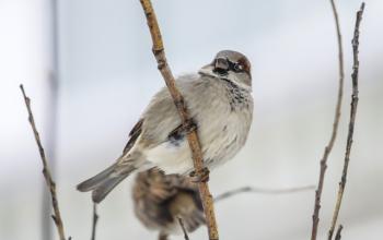 Фото Екатерины Христозовой