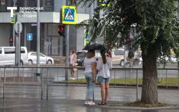 В Тюмени 29 июня прогнозируют дождливый день при +19 градусах