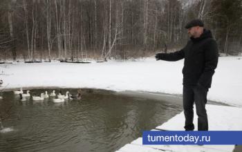 Переехать в деревню – осознанный выбор: ветеран СВО рассказал о том, как поменял свою жизнь